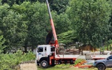 TP.HCM: Xe cẩu bị phóng điện, 2 người thương vong