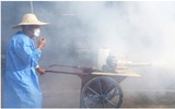 Diễn biến mới về dịch bệnh chikungunya ở Trung Quốc