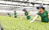 Gia Lai mở lối xuất khẩu nông sản tỉ đô sang thị trường Trung Quốc
