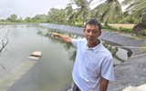 Vĩnh Long: Xác minh vụ tôm nuôi chết trắng sau một đêm, nghi bị phá hoại