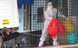 Thêm nhiều quốc gia, vùng lãnh thổ siết sàng lọc ở sân bay vì virus Nipah