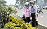 Hoa tết tấp nập xuống phố, giá không tăng