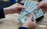 Giá USD hôm nay 10.10.2026: Giảm mạnh trong tuần