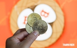 Bitcoin sập khiến 1,1 tỉ USD bị thổi bay, nhà đầu tư tháo chạy