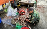 Đừng buông lỏng chợ tự phát