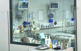 TP.HCM họp khẩn vì 3 học sinh mắc bệnh do não mô cầu, 1 em tử vong