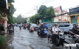Đường nối Phạm Văn Đồng - cầu vượt Sóng Thần ở TP.HCM bồi thường tới 71,5 triệu đồng/m²