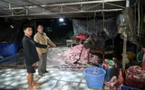 Triệt phá lò mổ heo bệnh, heo chết bán để sản xuất giò chả ở Đồng Nai