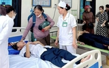 Đàn ong tấn công do bị chọc phá tổ, 27 em học sinh nhập viện