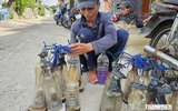 Danh thắng đầm Ô Loan: Lạ kỳ đèn dầu gọi tôm của 'ngôi làng cô đơn'