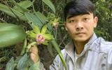 Lạ kỳ hoa cỏ quanh ta: 'Giấy khai sinh' viết bằng máu