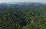 Phát hiện hố sụt lớn, sâu 120 m ở rừng Phong Nha - Kẻ Bàng