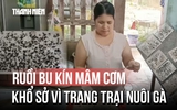 Ruồi bu kín mâm cơm, buôn bán ế ẩm vì trang trại nuôi gà ở Quảng Trị