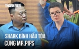 Shark Bình ngày hầu tòa cùng 'trùm' lừa đảo 1.600 tỉ Mr. Pips