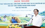 1 m3 gỗ keo 2 triệu đồng, qua chế biến tăng lên 2.500 USD