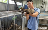 Từ lái xe thuê đến cơ ngơi nuôi chồn hương thu nhập hàng trăm triệu đồng