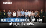 Kinh hoàng đường dây vỗ béo heo bằng chất cấm, hơn 10.000 tấn đã ra thị trường?