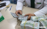 Giá USD hôm nay 5.10.2026: Tỷ giá trung tâm bật tăng, ngân hàng đứng yên