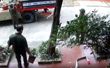 Tự ý đưa cây cảnh trên đất của dân đi, chính quyền phường xin lỗi