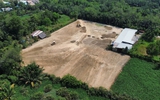 San lấp trái phép 1.800 m2 giữa rừng cây TP.HCM: Phải chờ chủ đất về mới xử lý?