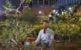 28 tết: Ôm 110 chậu mai vàng từ miền Trung vào TP.HCM, tiểu thương thấp thỏm chờ khách