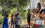 Đang làm tóc trong tiệm, nữ giảng viên đại học kịp thời cứu bé trai đuối nước