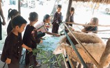Những nông trại giữa lòng TP.HCM khiến người trẻ say đắm