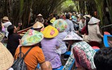 Tắc xuồng ba lá ở cồn Thới Sơn