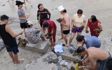 Xác minh vụ nhóm người bẻ san hô ở Nha Trang