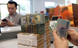 Cục Thuế cảnh báo doanh nghiệp ngừng hoạt động nhưng chưa đóng mã số thuế