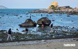Cảnh báo nguy cơ tẩy trắng san hô ở vịnh Nha Trang