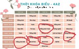 Dự kiến giáo dục tăng cường được dạy trong giờ chính khóa