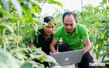 Nông nghiệp thông minh mang lại hiệu quả kinh tế cao