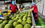 EU siết quản lý, nông sản Việt Nam ứng phó thế nào?