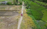 40 năm chờ đường, hơn 80 hộ dân Khánh Hưng vẫn lội bùn mỗi mùa mưa