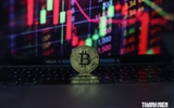Giá Bitcoin hôm nay 16.8.2026: Altcoin 'gần như đã chết', Bitcoin sắp chạm đáy