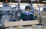 Vì sao doanh nghiệp rời khỏi thị trường tăng?