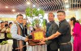 Củ sâm Ngọc Linh hơn 35 năm tuổi được đấu giá 725 triệu đồng