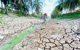 'Siêu El Nino' tác động mạnh đến Việt Nam thế nào?