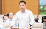 Đề xuất cho hộ kinh doanh có doanh thu dưới 10 tỉ nộp thuế trên doanh thu
