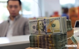 Giá USD hôm nay 28.8.2026: Đô la Mỹ, EUR, bảng Anh... cùng giảm
