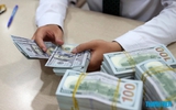 Giá USD hôm nay 29.8.2026: Ngân hàng giảm mạnh 230 đồng/USD trong tháng