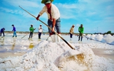 Nghề muối trăm năm xứ công tử Bạc Liêu, có tỉ phú, có nước mắt diêm dân
