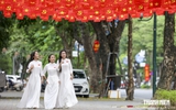Hà Nội những ngày rực rỡ cờ, hoa