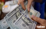 Giá USD hôm nay 31.8: Đô tự do sụt giảm