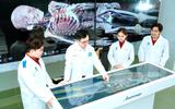 Ngành y khoa và răng hàm mặt dẫn đầu điểm chuẩn Trường ĐH Nguyễn Tất Thành