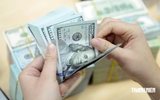 Giá USD hôm nay 10.9.2026: Đô la Mỹ trong ngân hàng tăng