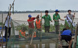 Áp thấp nhiệt đới ảnh hưởng thế nào đến mực nước lũ sông Mekong?