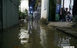 Triều cường trên sông Đồng Nai đến sớm bất thường