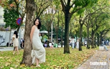 TP.HCM có một ‘con đường mùa thu’ đẹp như phim Hàn, giới trẻ mê mẩn TP.HCM có một ‘con đường mùa thu’ đẹp như phim Hàn, giới trẻ mê mẩn